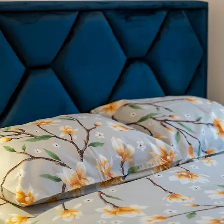 Διαμέρισμα Calina *