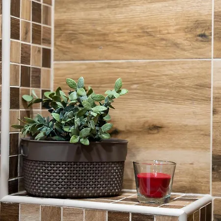 Calina Διαμέρισμα Ζλάτιμπορ