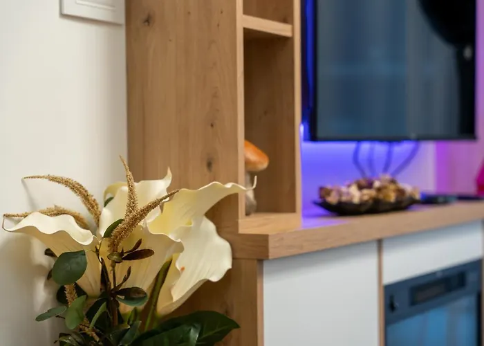 Calina Apartamento Zlatibor