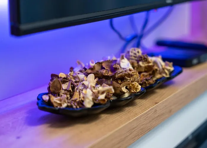 Apartamento Calina *